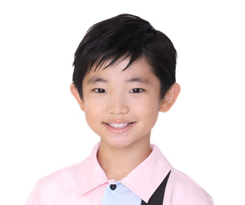 WEB広告「早稲田アカデミー個別進学館『志望校対策』」