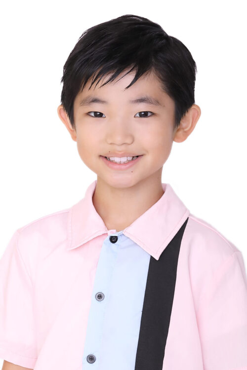 WEB広告「早稲田アカデミー個別進学館『志望校対策』」